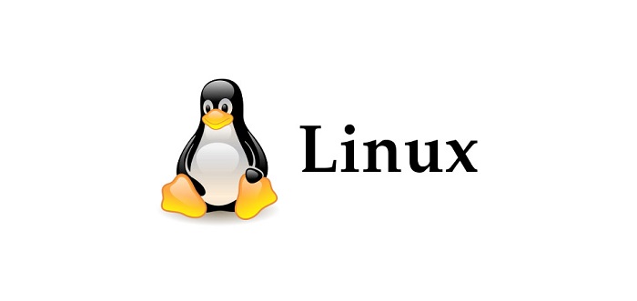 Сетевое администрирование GNU/LINUX (ЛИНУКС)